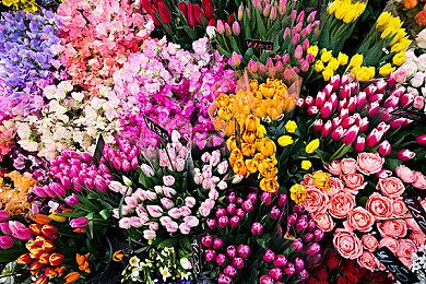 《怒火橄榄球3》概述预告片 2月23日正式发售